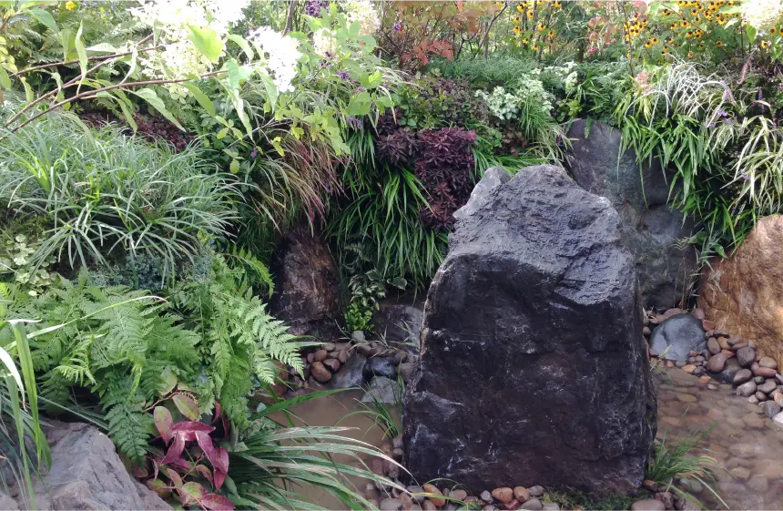 森の風展示ガーデン