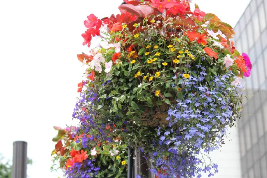 花飾りイメージ4