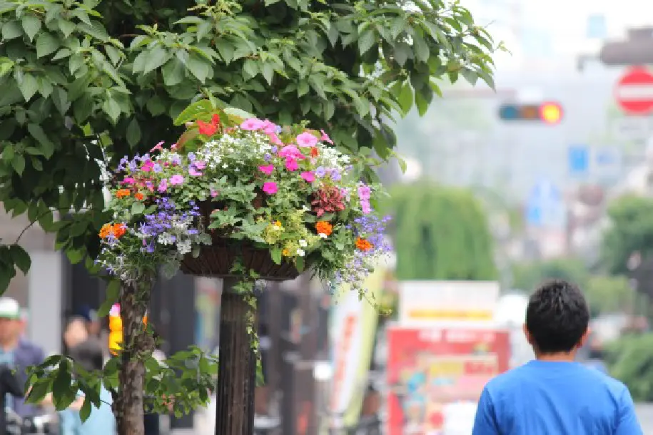 花飾りイメージ6