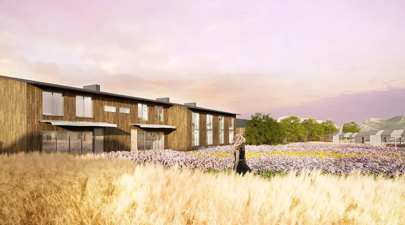 ノウルプロジェクト イメージ