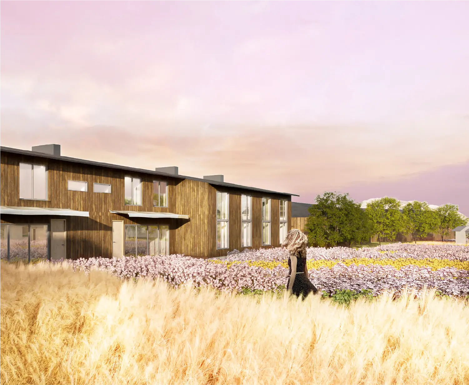 ノウルプロジェクト イメージ