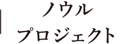 ノウルプロジェクト